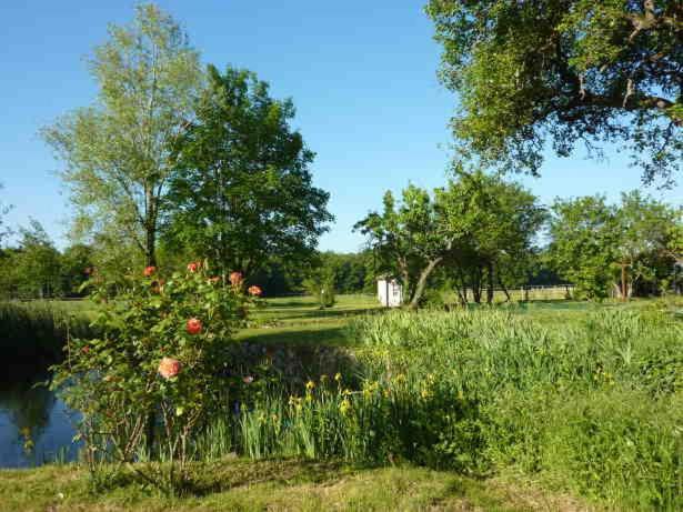 Maison Dans Belle Longere - La Serrerie Le Controis-en-Sologne Exteriör bild